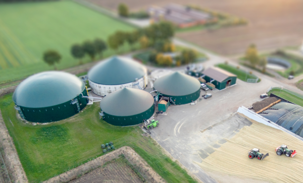 Herausforderungen für Biogasanlagen – Fakten, Lösungen, Perspektiven.